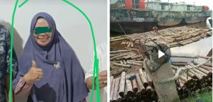 Tangkap Dan Penjarakan Pengusaha Kayu Ilegal Di Basarang Kalteng.