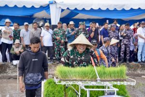*Kasdam XIV/Hsn Hadiri Gerakan Tanam Padi Serentak Bersama Presiden RI Secara Virtual