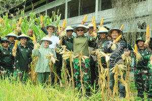 Pomdam XIV/Hsn laksanakan panen padi dalam rangka sukseskan program ketahanan pangan