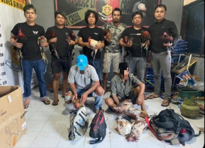 *Respon Cepat, Sat Reskrim Polres Sinjai Gerebek Lokasi Judi Sabung Ayam : dua Pelaku dan Barang Bukti Diamankan.*